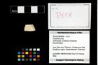 Foto (Objekt + Etikett) von Cyclothyreus sp.  (NHMW-GEO-2014-0194-0658)